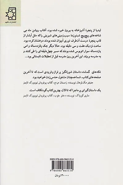 تکه های گمشده